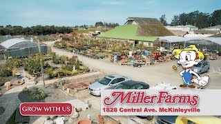 Miller Farms Nursery - 2017