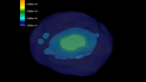 Neutron Star Merger Simulation