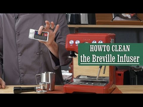 How to Clean Breville the Infuser Espresso Machine