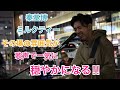 【弾き語り】その場の雰囲気が最高に穏やになる、優しい歌声に注目!!︎ミルクティー/秦基博(福田賢太 11.05 新宿路上ライブ)