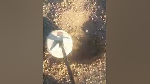 استخراج الذهب الخام بجهاز جي بي زد 7000 || كشف الذهب بجهاز جي بي زد 7000