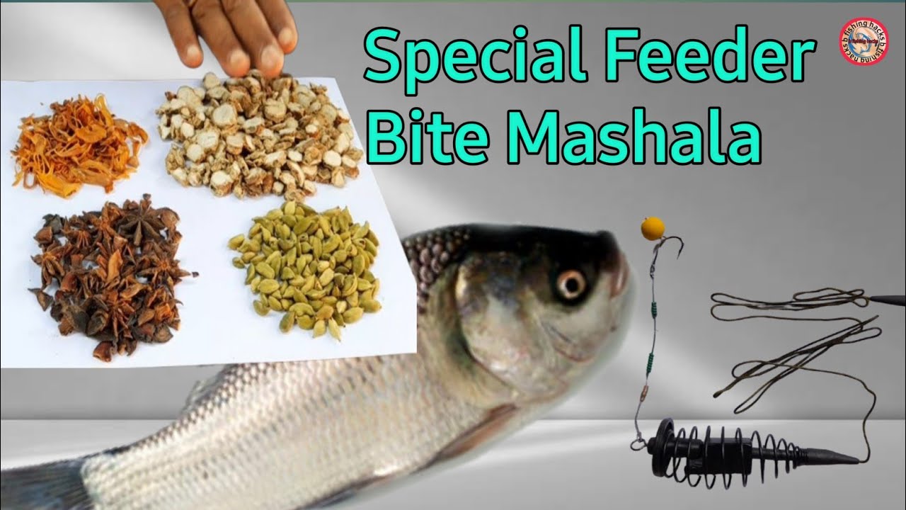 Jaributi Feeder Bite/Top Mashala Full Attractive For Katla Rohu Briged Rupchanda Fish ✅️
