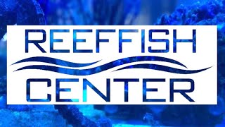 Reef Side Trip: Reeffish Center, The Netherlands