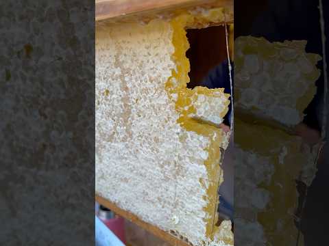 巣蜜が食べれるパフェ #japanesefood  #food