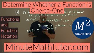 Determine Whether a Function is One-to-One | College Algebra Profile