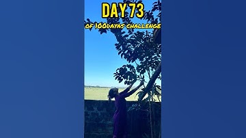 BRAHMA MUHURTA CHALLENGE 🕉️ 73/100 #shorts #ytshorts #minivlog #youtubeshorts