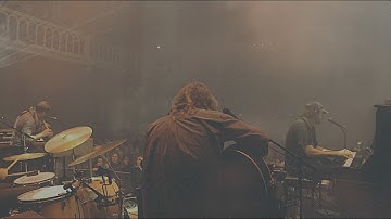 Daniel Norgren - Why May I Not Go Out And Climb The Trees? (Live)