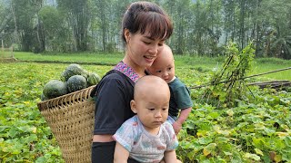 Warmth when mother and child are together & Picking pumpkins to sell - Buying chicks