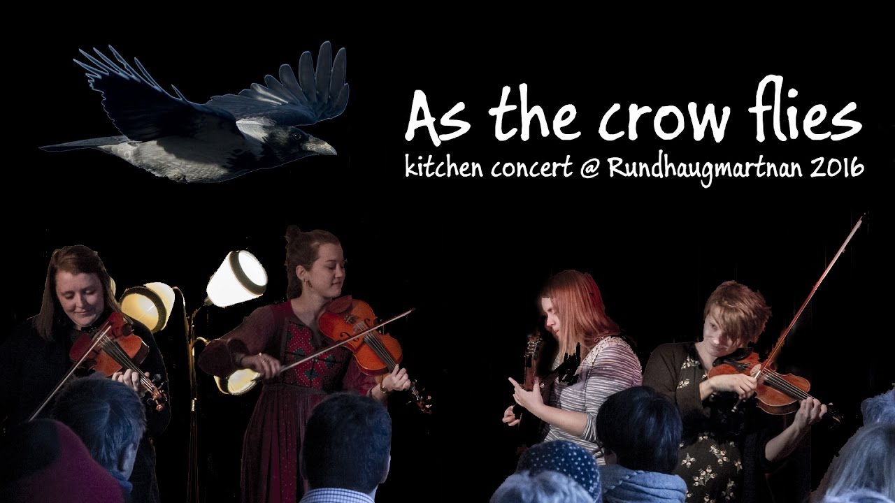 As the crow flies Seal Songs The kitchen sessions Rundhaugmartnan