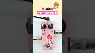 Beginner's Guide] How to Use a Reverb Pedal | Effects Bakery