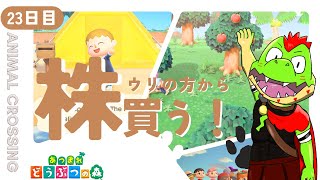 【23日目】ウリから株を買う！【川鰐グラムのあつまれどうぶつの森】（あつ森）