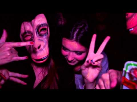 MAD MONKEYS KINGDOM - EPISODE 1. THE BEGINNING.