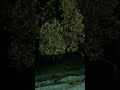 Drop your guesses – where is this night view? #dailyvlog #likeandsubscribe #supportmychannel #shorts