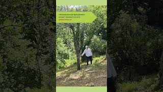 Геологические изыскания перед началом строительства.
