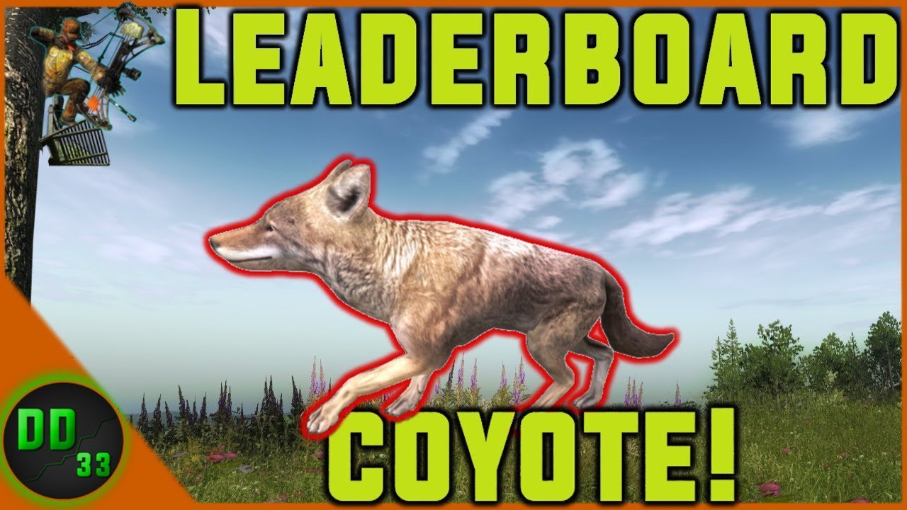 The BIGGEST COYOTE I've Ever Seen!! TheHunter Classic 2019 YouTube