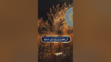سورة البلد ،🎙️ محمد الفقيه