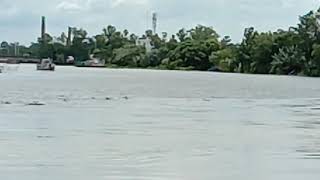 বংশাই নদী- হাঁটুভাঙা, মির্জাপুর, টাঙ্গাইল।