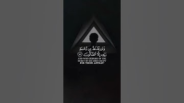 قرآن كريم بصوت القارئ هاني العزوني تلاوة مؤثر ارح قلبك 💚🌿حالة واتس إسلامية /استوري انستغرام