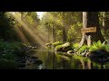 Calm Flowing River 🌿 Peaceful Natural Ambience for Meditation and Deep Sleep #761