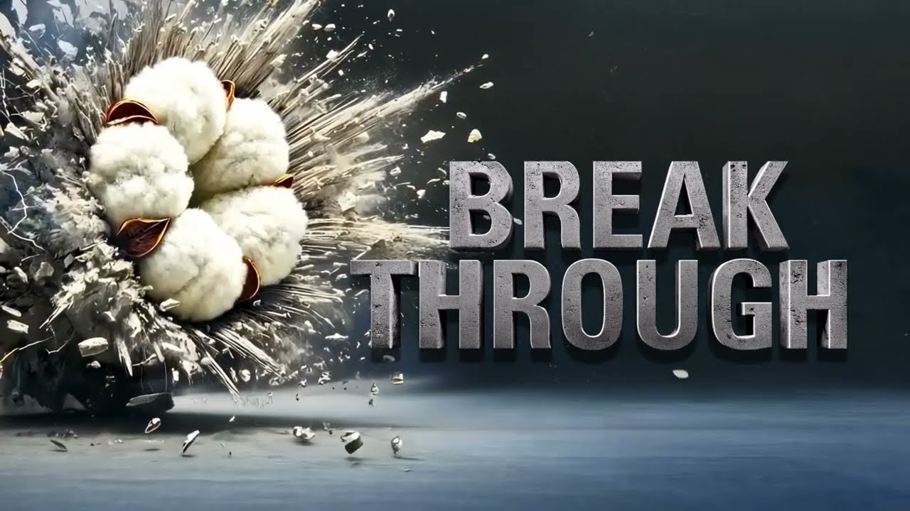 Break Through with PhytoGen® cottonseed