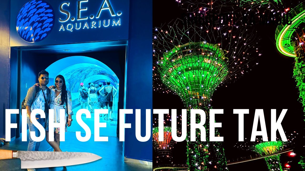 Singapore Magical  day 🇸🇬 | SEA Aquarium, Cloud Forest & Night Light Show