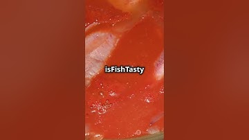 Mastering C++  Boolean Data Type Explain