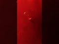 red sparkle fulzadi and sony 7 short Vinayagar