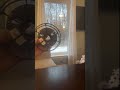 Day 54 of 3D Printing for 365 Days for Friends, Family, Function and Fun! - 250g Spool Adapter!