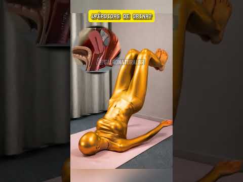 💪 Fortalece tu Suelo Pélvico y Mejora el Control Urinario