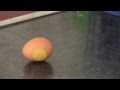 Egg Experiment to Demonstrate Inertia