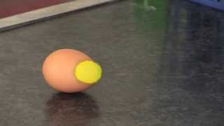 Egg Experiment to Demonstrate Inertia