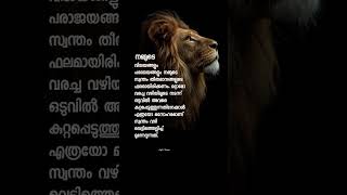സ്വന്തം വഴി #statusvideo#whatappstatus#shorts#shortsfeed#malayalam#trending