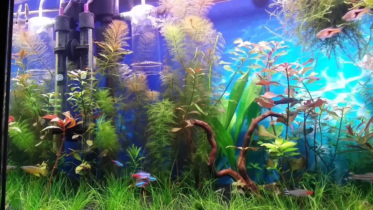 Ev vortex tank