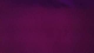 【ななの絵本棚】くまとやまねこ