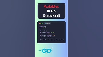 Go Programming Basics: Variables & Data Types Explained