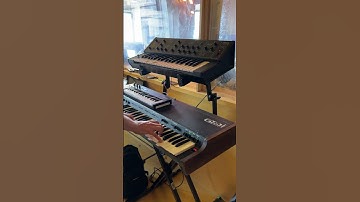 This killer 70’s Arp Omni synthesizer provided all the string sounds on the Endless Echoes album