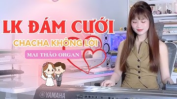 LK Hoà Tấu CHACHACHA Đám Cưới Âm Thanh Cực Hay Mới Nhất 2025 | Mai Thảo Organ #2