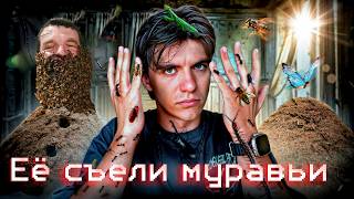 картинка: ИХ забрали НАСЕКОМЫЕ | маленькие ЧУДОВИЩА