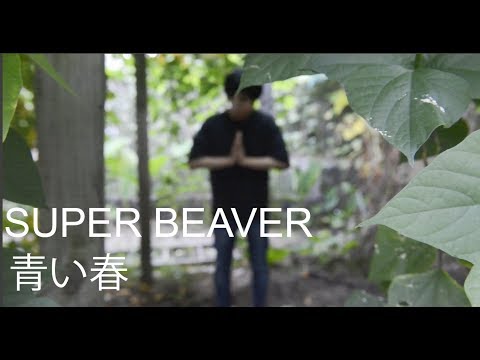 Super Beaver 青い春 Aoi Haru Guitar Cover Youtube Super Beaver 青い春 Aoi Haru Guitar Cover Youtube