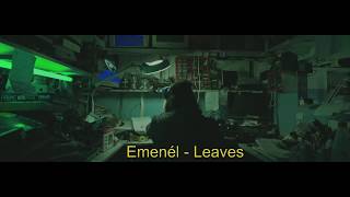 Vignette de la vidéo "Emenél - Leaves"