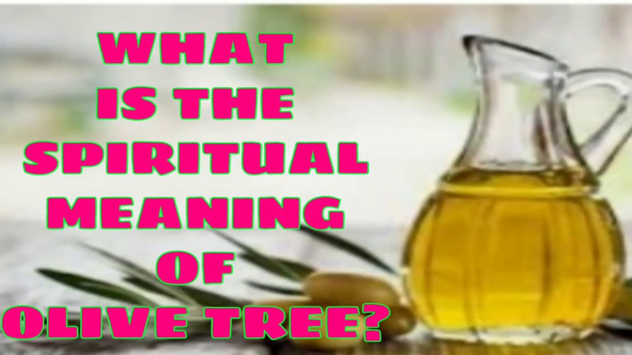 ARE GREEN And BLACK OLIVES HEALTHIER/SPIRITUAL MEANING OF THE OLIVE