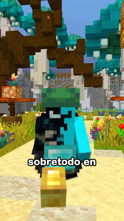 Problemas de decoración en Minecraft 🏠