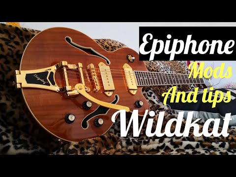 Epiphone Wildkat トンデモ改造品　ビザールギター Epiphone Wildkat トンデモ改造品 ビザールギター - メルカリ
