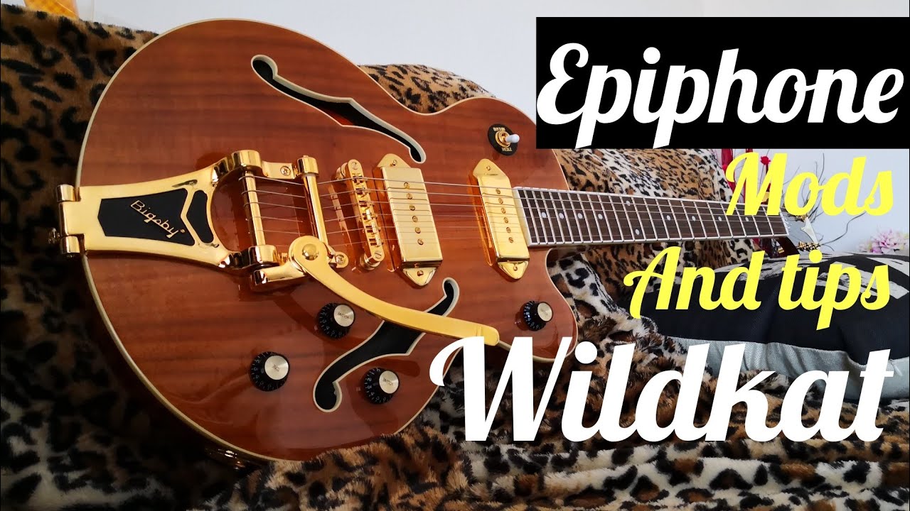 Epiphone Wildkat トンデモ改造品　ビザールギター Epiphone Wildkat トンデモ改造品 ビザールギター - メルカリ