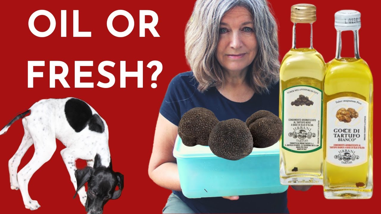 Truffle Training - Should You Use Oil or Fresh Truffles to Train Your Dog?
