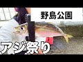 横浜の野島公園でアジ釣りしたらお祭り状態で大忙し！？【2023.7】