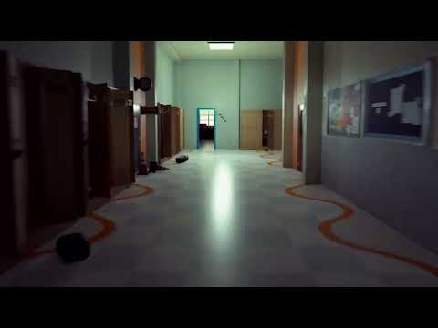 Anteprima video