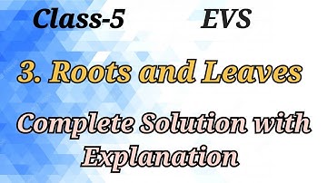 3 Roots and Leaves || Class-5 EVS || Complete Exercise Solution || CG SCERT Book || Question Answer