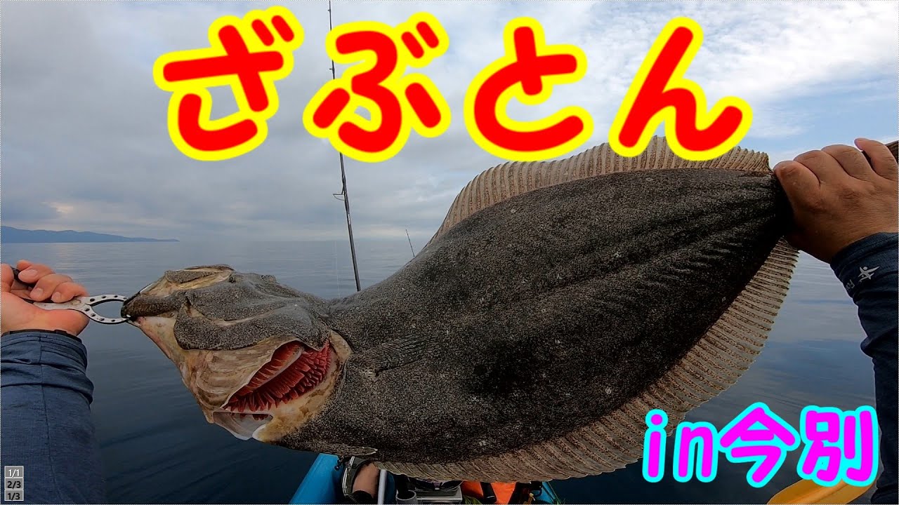 【Fishing】ざぶとん！！