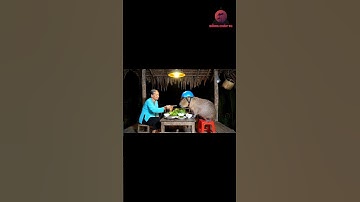 Buổi tối của bà và capybara #capybara #veo3 #fyp #xuhuong #trending #bavacapybara